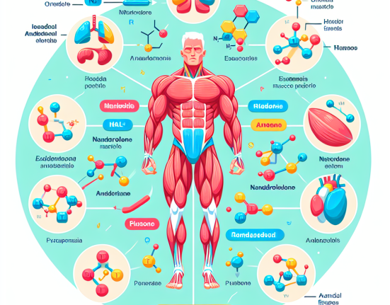 Wie Nandrolon die verschiedenen Muskelfasertypen beeinflusst