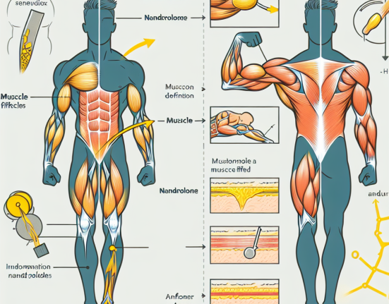 Wie Nandrolon zur Verbesserung der Muskeldefinition beiträgt